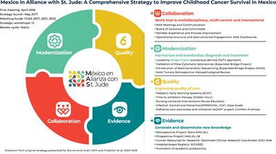 Securing access to a comprehensive diagnostic panel for children with suspected acute lymphoblastic leukemia: Results from the Mexico in Alliance with St. Jude “Bridge Project”